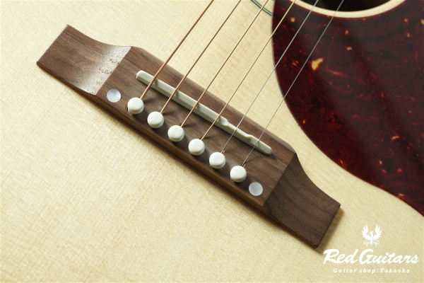 Hummingbird Studio Walnut